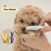Stainless Steel Pet Flea & Hair Comb – Dog & Cat Grooming Tool